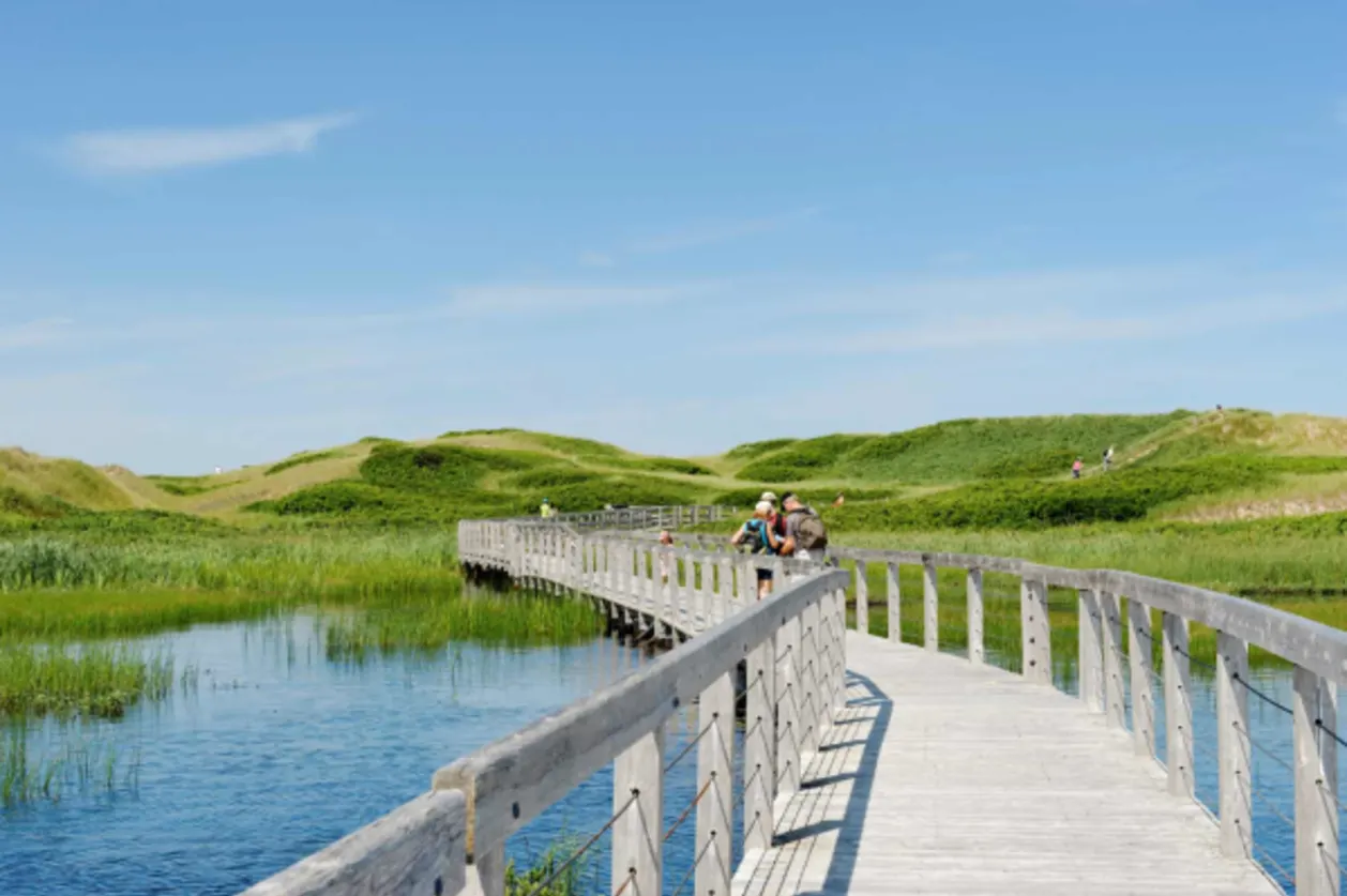Walking PEI Island Walk Greenwich Dunes Trail